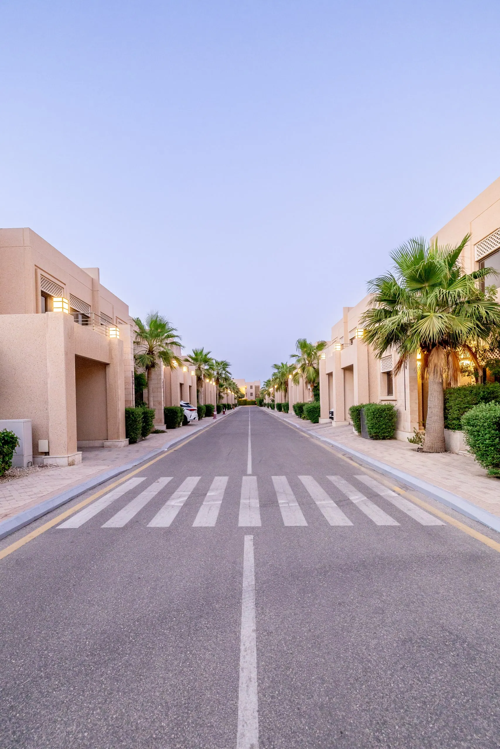 شارع سكني مستقيم تصطف على جانبيه أشجار النخيل والفلل